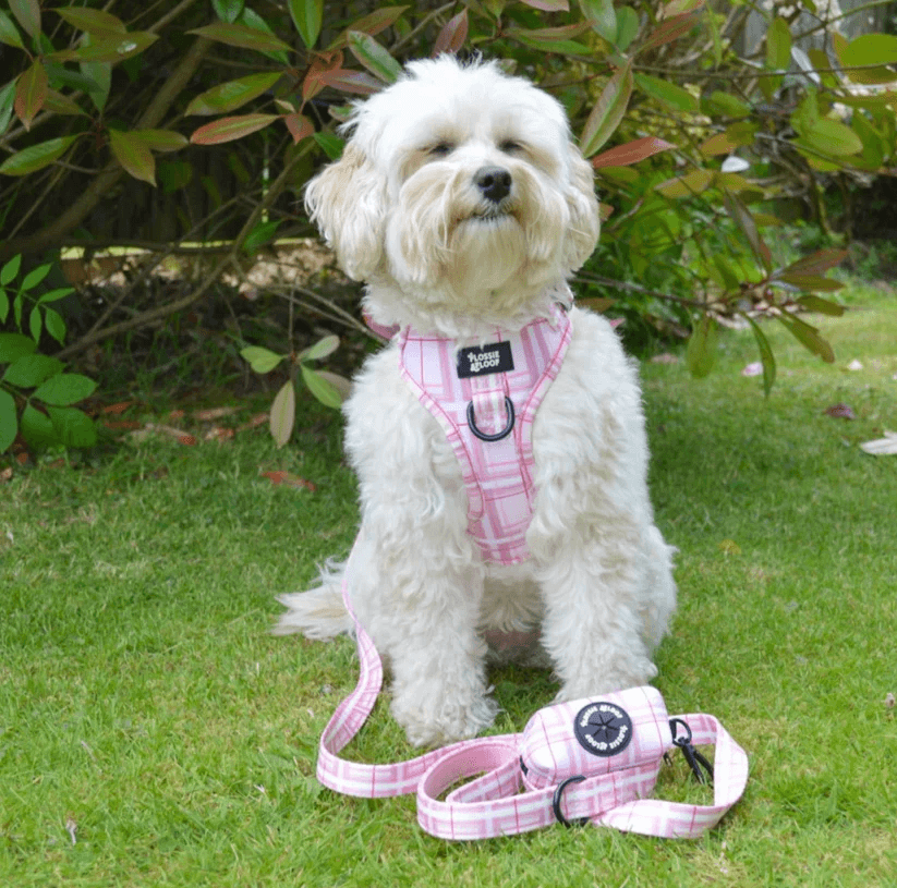 Oxford "Blush" Dog Poop Bag Holder – by Flossie & Floof