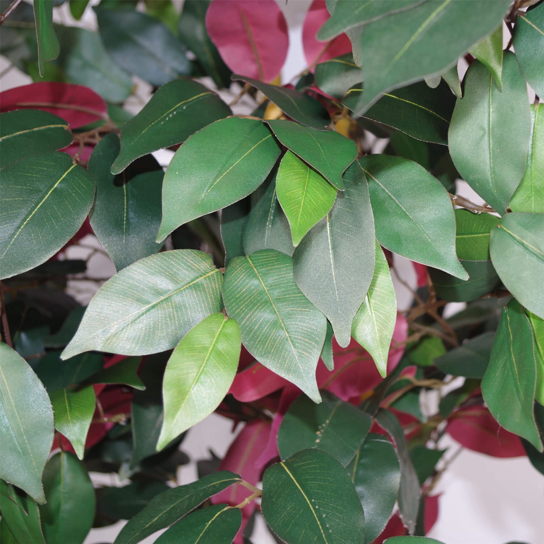 Artificial Ficus Tree Plant Red Green Capensia 120cm Plants