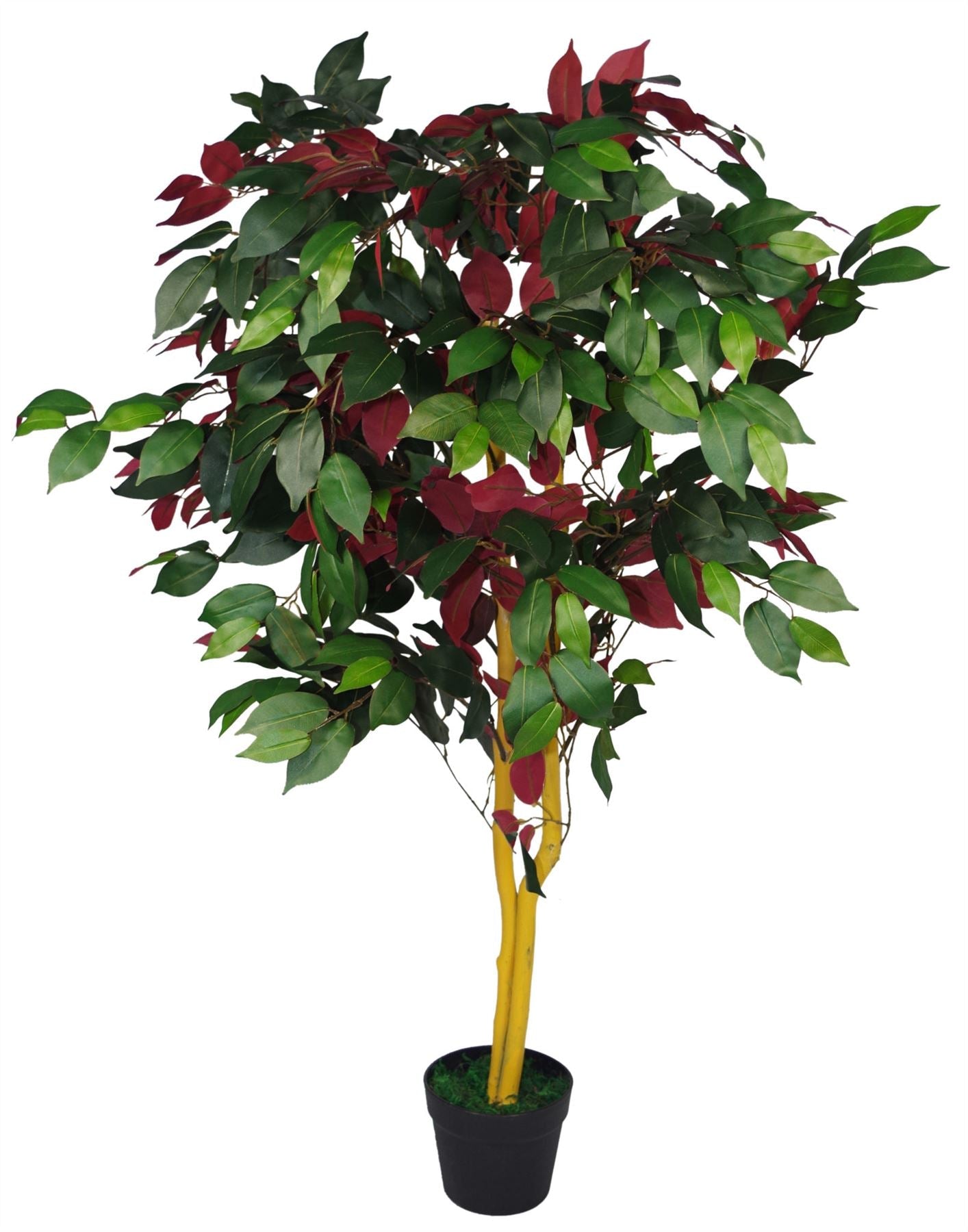 Artificial Ficus Tree Plant Red Green Capensia 120cm Plants